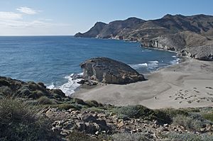 Playa-de-monsul