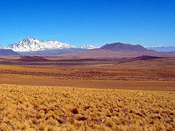 Pular Volcano Chile 015b.jpg