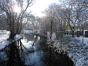 River Dodder Rathgar snow