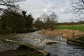 River Little Ouse at Knettishall - geograph.org.uk - 338087