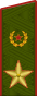 Russia-Army-OF-9-2013.svg