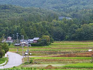 Sado Crested Ibis Reintroduction Center