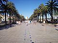 Salou boulevard