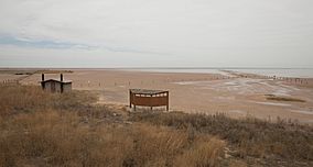 Salt Plains National Wildlife Refuge Oklahoma.jpg