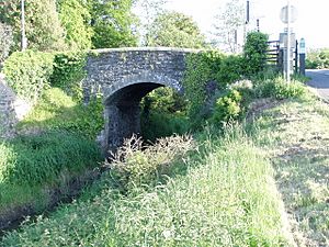 Scarva Canal Bridge - geograph.org.uk - 1342603