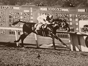 Seabiscuit winning 1940 SAH