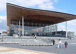 Senedd