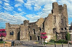 Swansea Castle 2018.jpg