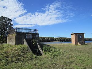 Tomb of John and Mary-Ann Hannell (and water level recorder), Hexham, NSW