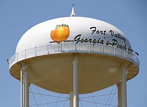 WaterTowerFortValleyGA