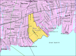 U.S. Census map