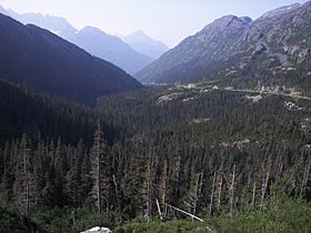 White Pass, Alaska.jpg