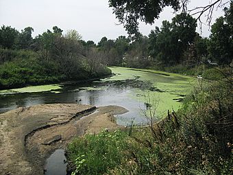 20120809 1218a MinotND SourisRiverOxbow.jpg