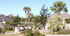 A street scene in Lago Mar