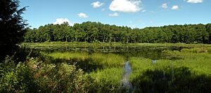 Abbey Pond, Ripton, VT (32020784272)