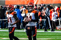 Andy Dalton 2019