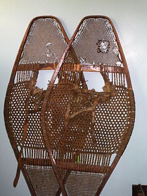 Asaph snowshoes