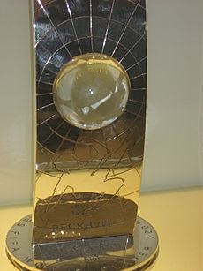 Beckham2001award