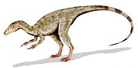 Compsognathus BW.jpg