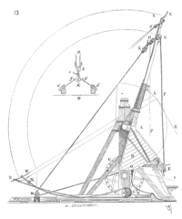 Coupe.mangonneau