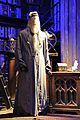 Dumbledore's Manikin