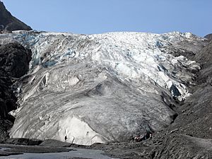 Exit Glacier Jul09