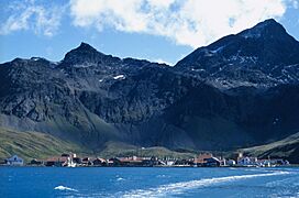 Grytviken settlement