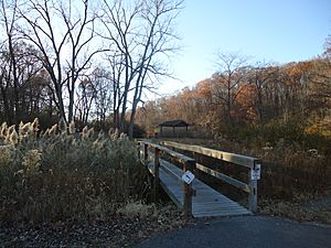 High Pond Trail