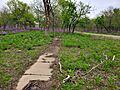 Irving, KS Sidewalk