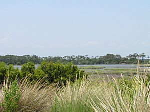 Kiawah Island South Carolina