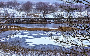 Loch Lubnaig, Stirlingshire, Scotland (39294286995)