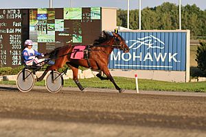 Mohawk raceway 06 july 2007 tac.jpg