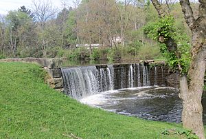 A dam across Bull Creek in the village park.