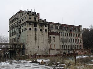 Paramonov mill plant