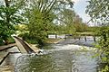 Punt-rollers-river-cherwell-oxford