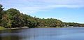 Reservoir Pond, Canton, MA