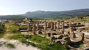 Ruinas playa tarifa (44764528631)