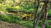 San Mateo Creek below Crystal Springs Dam