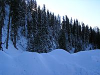 Snow in hazara galyat hills