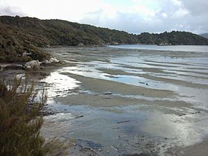 Stewart Island Oban Mudflats