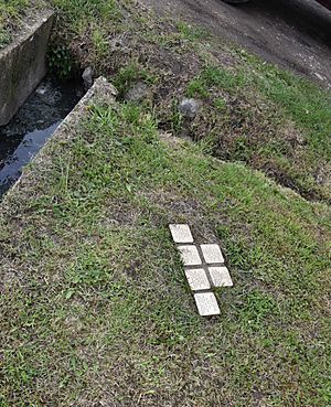 Stolpersteine in Porţ