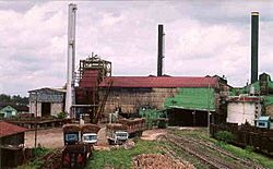 Sugar mill consuelo