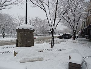 Summit New Jersey horse trough and buildings and trees after snow