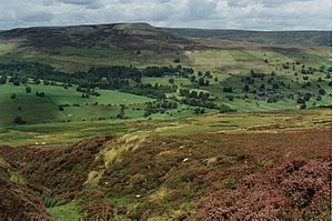 Swaledale-web