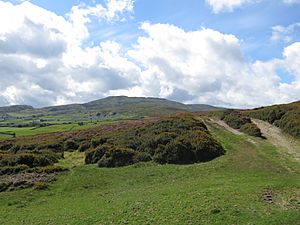 Tal y Fan from path