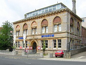 Torquay Museum - geograph.org.uk - 18913.jpg