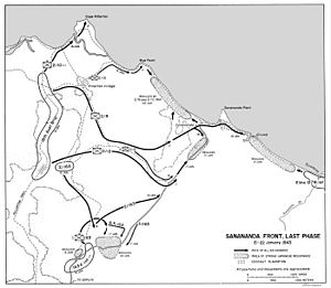 USA-P-Papua-17 Map 17 milner