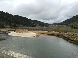 Waddell Creek Estuary