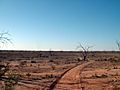 Walking track Fort Grey