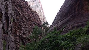 Zion Narrows 2013